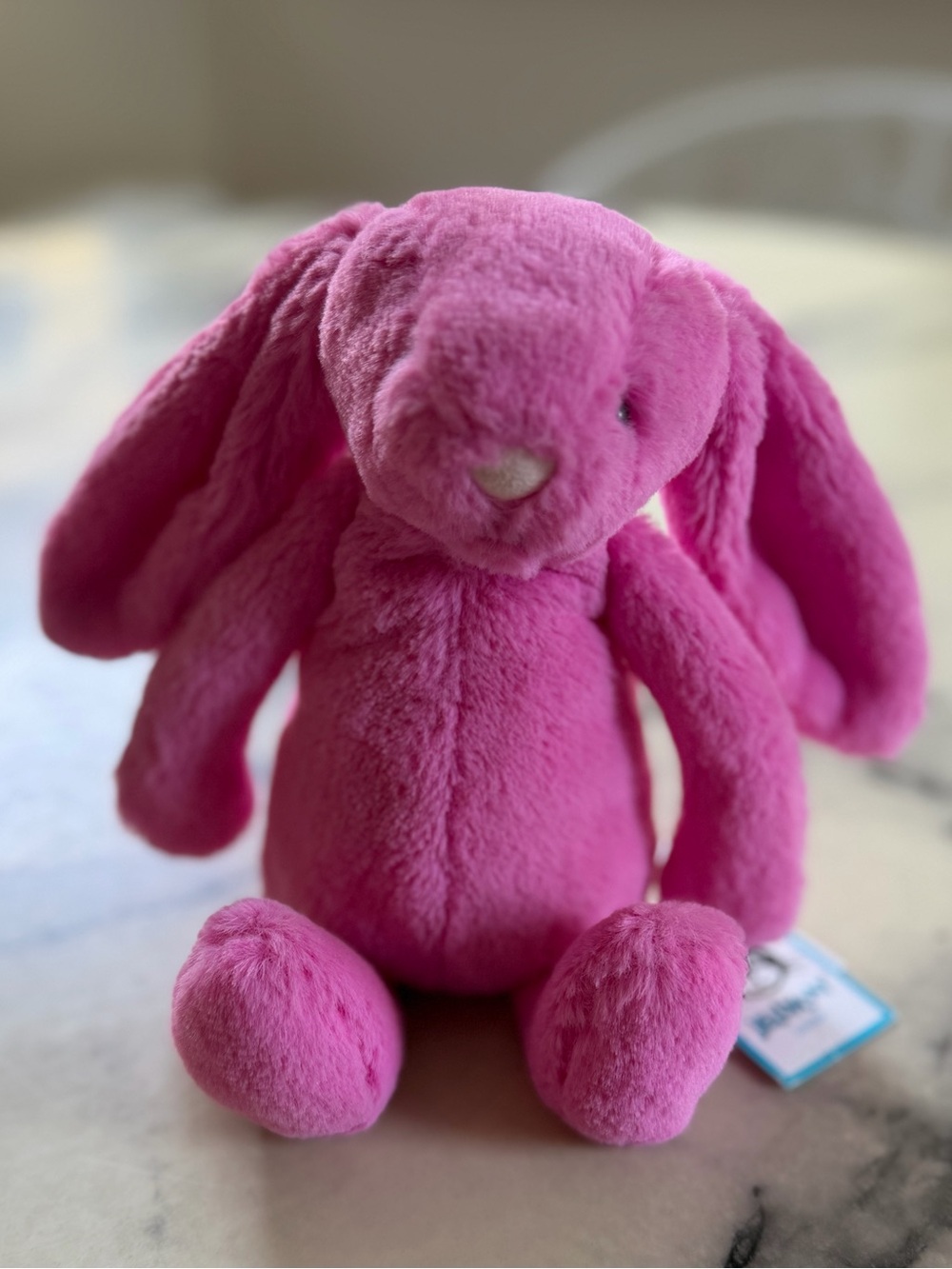 Jellycat Hot Pink Bashful Bunny Plush Stuffie Small NWT!